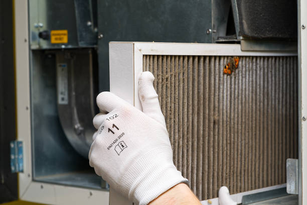 Best Home Air Vent Cleaning  in Hastings, NE